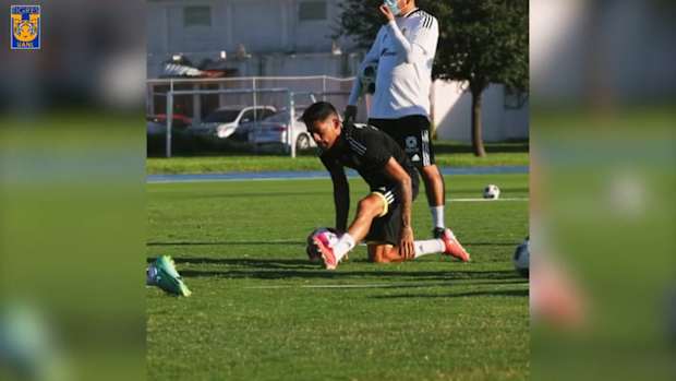 Tigres train ahead of game vs Chivas and Gignac greets fans